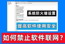 Windows系统如何禁止某个程序联网-大小世界